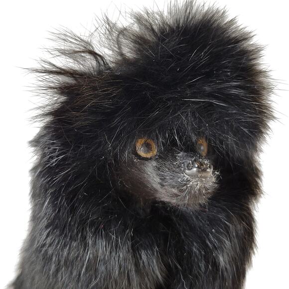 Copied - Plush other brand - Picture 4 of 14